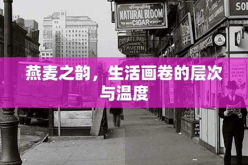 燕麦之韵，生活画卷的层次与温度