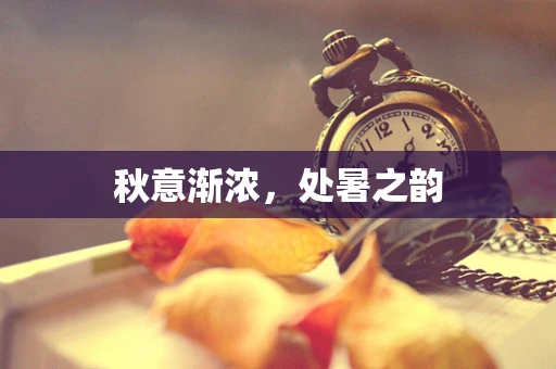 秋意渐浓，处暑之韵