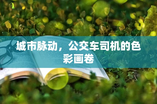 城市脉动，公交车司机的色彩画卷