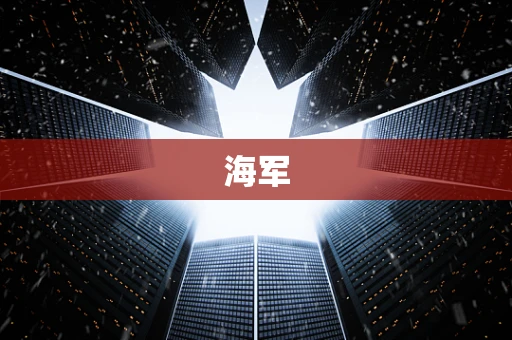海军