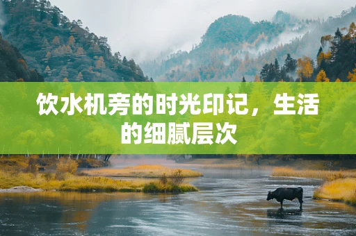 饮水机旁的时光印记，生活的细腻层次