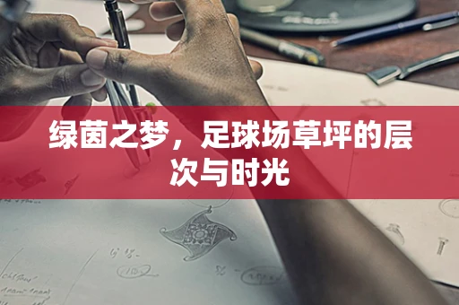 绿茵之梦，足球场草坪的层次与时光