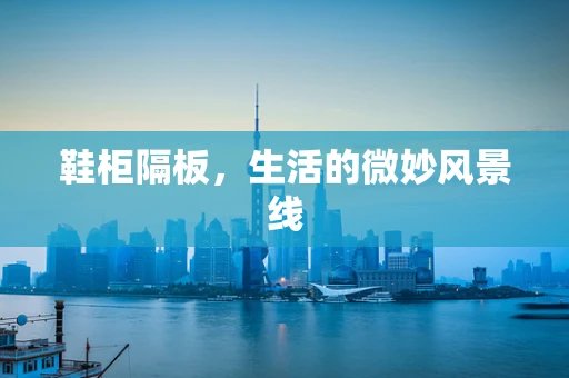鞋柜隔板，生活的微妙风景线