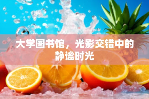 大学图书馆，光影交错中的静谧时光