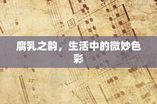 腐乳之韵，生活中的微妙色彩
