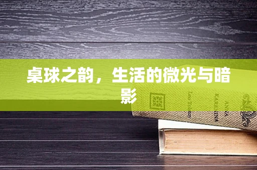 桌球之韵，生活的微光与暗影