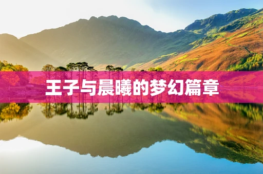 王子与晨曦的梦幻篇章