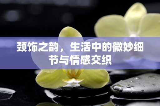 颈饰之韵，生活中的微妙细节与情感交织