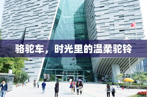骆驼车，时光里的温柔驼铃