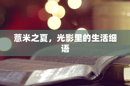 薏米之夏，光影里的生活细语