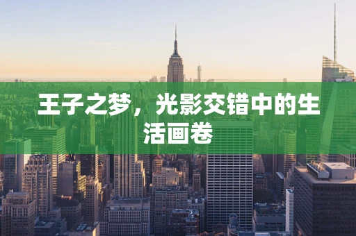 王子之梦，光影交错中的生活画卷