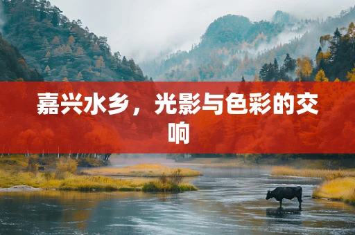 嘉兴水乡，光影与色彩的交响