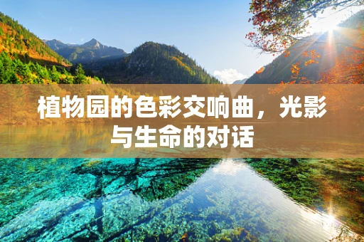 植物园的色彩交响曲，光影与生命的对话