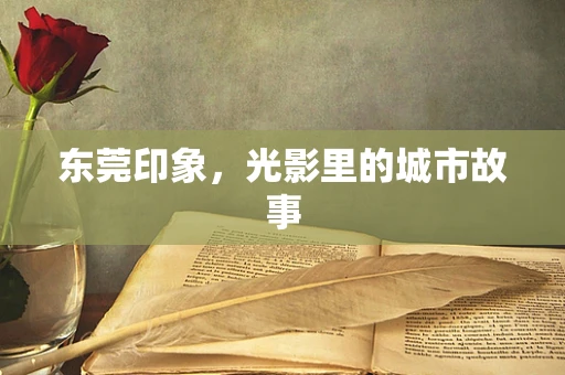 东莞印象，光影里的城市故事