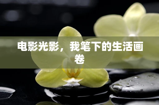 电影光影，我笔下的生活画卷