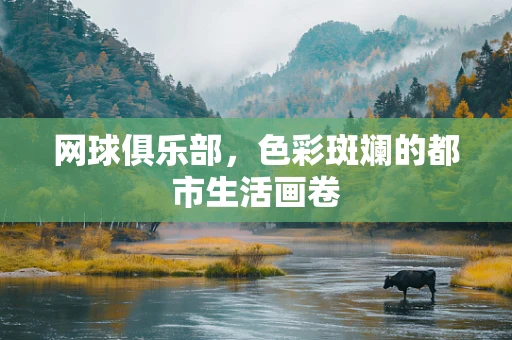 网球俱乐部，色彩斑斓的都市生活画卷