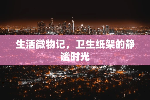 生活微物记，卫生纸架的静谧时光