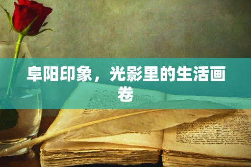阜阳印象，光影里的生活画卷