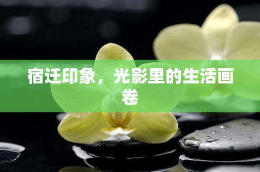 宿迁印象，光影里的生活画卷