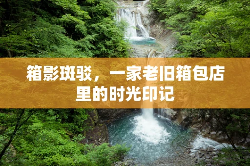 箱影斑驳，一家老旧箱包店里的时光印记
