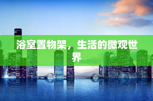 浴室置物架，生活的微观世界