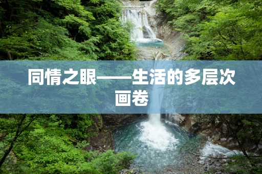 同情之眼——生活的多层次画卷