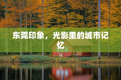 东莞印象，光影里的城市记忆