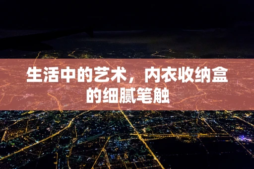 生活中的艺术，内衣收纳盒的细腻笔触