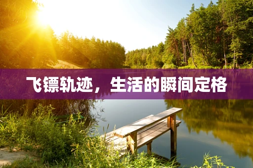 飞镖轨迹，生活的瞬间定格