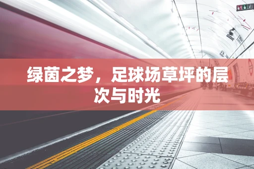 绿茵之梦，足球场草坪的层次与时光