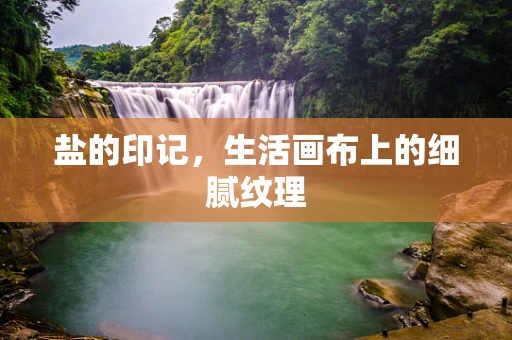 盐的印记，生活画布上的细腻纹理