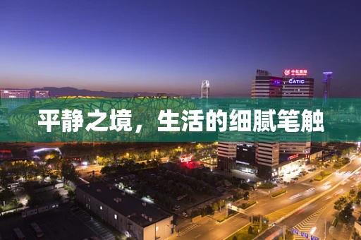 平静之境，生活的细腻笔触