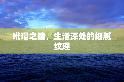 玳瑁之瞳，生活深处的细腻纹理