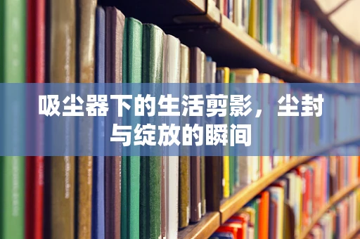 吸尘器下的生活剪影，尘封与绽放的瞬间