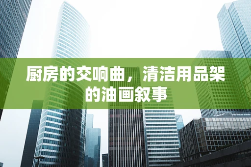 厨房的交响曲，清洁用品架的油画叙事
