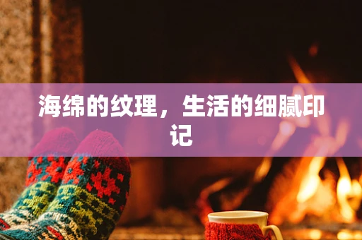 海绵的纹理，生活的细腻印记