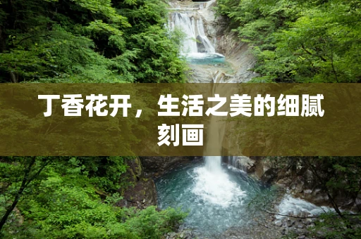 丁香花开，生活之美的细腻刻画