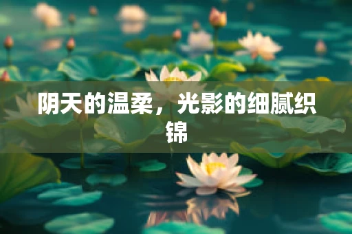 阴天的温柔，光影的细腻织锦