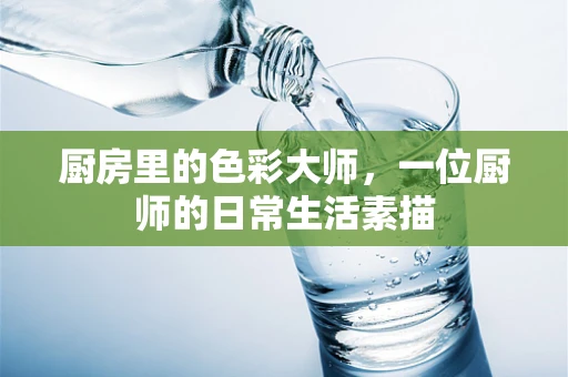 厨房里的色彩大师，一位厨师的日常生活素描