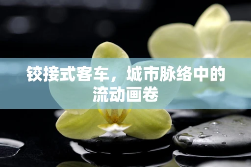 铰接式客车，城市脉络中的流动画卷
