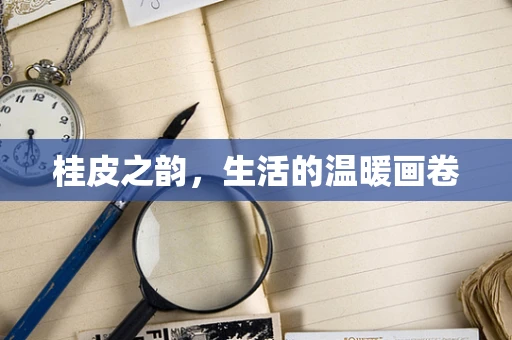 桂皮之韵，生活的温暖画卷