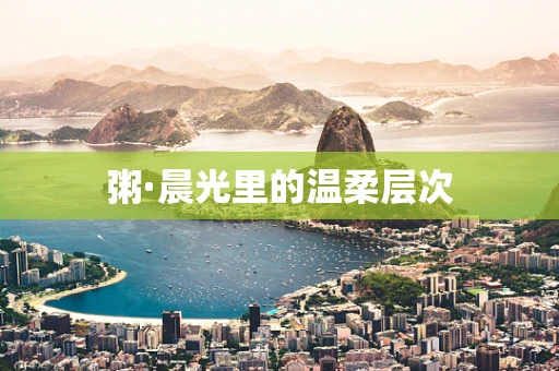 粥·晨光里的温柔层次