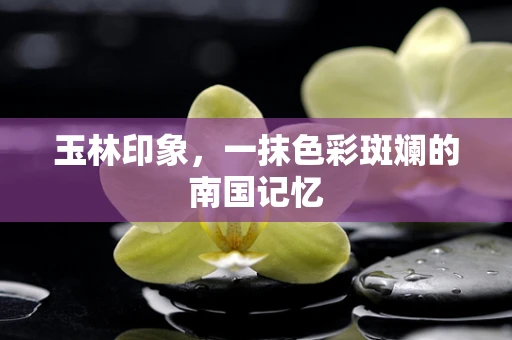 玉林印象，一抹色彩斑斓的南国记忆