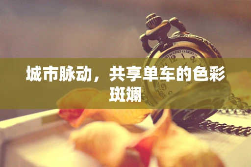 城市脉动，共享单车的色彩斑斓