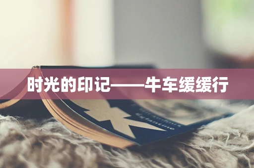 时光的印记——牛车缓缓行