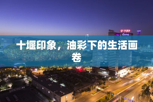十堰印象，油彩下的生活画卷