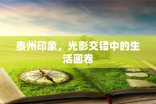 泰州印象，光影交错中的生活画卷