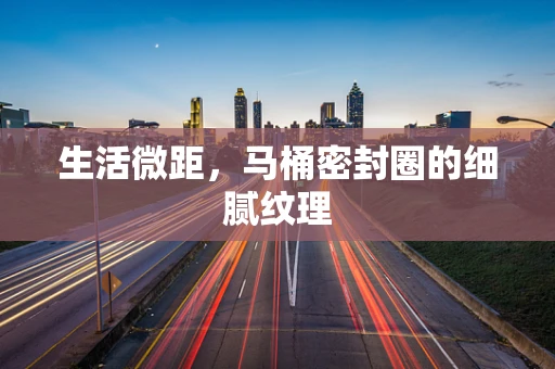 生活微距，马桶密封圈的细腻纹理
