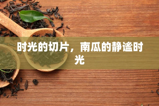 时光的切片，南瓜的静谧时光