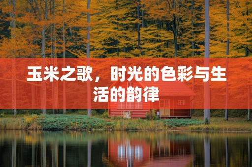 玉米之歌，时光的色彩与生活的韵律